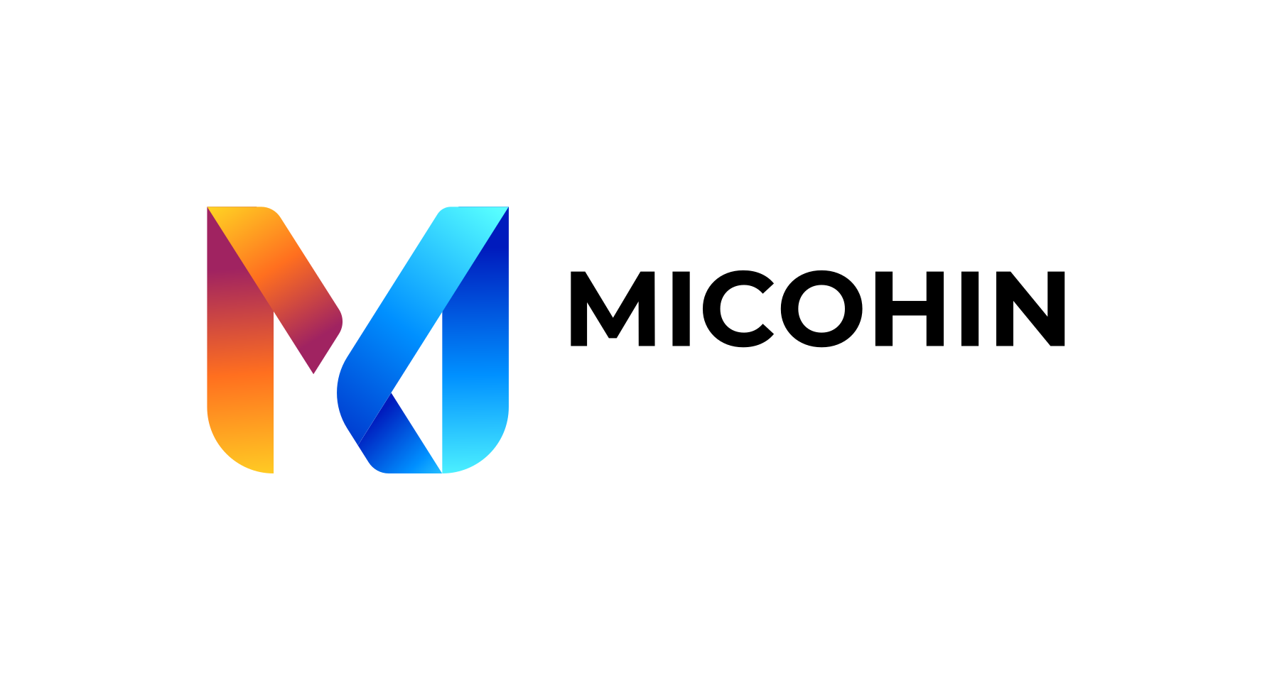 MICOHIN SRL